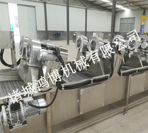 葡萄干除水風(fēng)干機(jī)