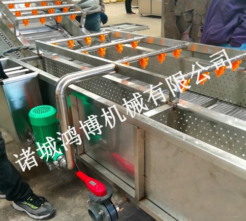 水果清洗機(jī)