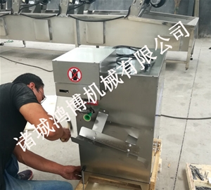 工業(yè)商業(yè)蘋果削皮設備