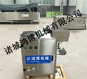 大型自動蘋果削皮機(jī)